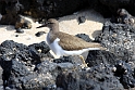 mudderklire IMG_3840